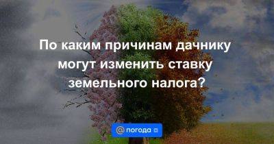 По каким причинам дачнику могут изменить ставку земельного налога? - smartmoney.one - Россия