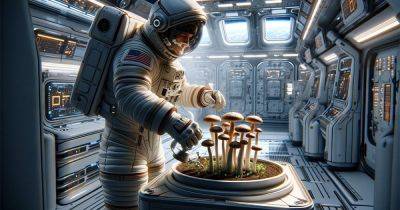 Спасительные звездные грибы: дефицит витамина D в космосе решат необычным способом - focus.ua - Украина - Колумбия