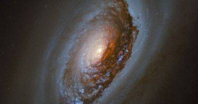 Телескоп Хаббл сделал снимок уникальной галактики "Черный глаз": в чем ее особенность (фото) - focus.ua - Украина