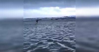 Ушел под воду: в РФ на Камчатке затопило стратегический военный объект (фото, видео) - focus.ua - Россия - Украина - Камчатский край