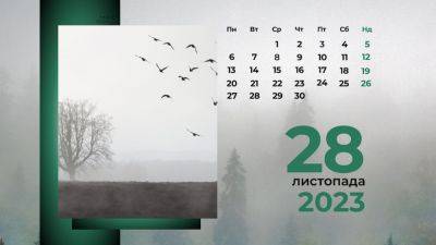 28 ноября: какой сегодня день и праздник | Новости Одессы - odessa-life.od.ua - Украина - Одесса