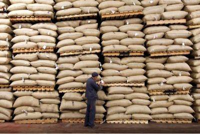 FT: ЕС может уничтожить сотни тысяч тонн кофе и какао-бобов - obzor.lt - Гана - Кот Дивуар - Ес