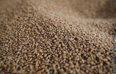 Пошлина на экспорт пшеницы из РФ с 29 ноября снизилась на 13,1% - smartmoney.one - Москва - Россия
