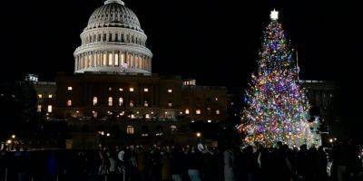 Ветер завалил национальную рождественскую елку возле Белого дома - nv.ua - Украина - Вашингтон - Washington