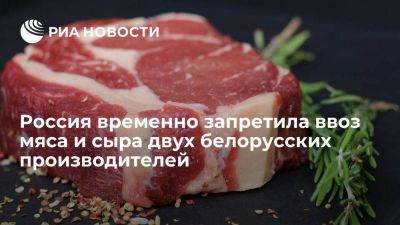 Россия временно запретила поставки продукции двух белорусских производителей - smartmoney.one - Россия