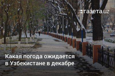 Какая погода ожидается в Узбекистане в декабре - gazeta.uz - Узбекистан - Ташкент