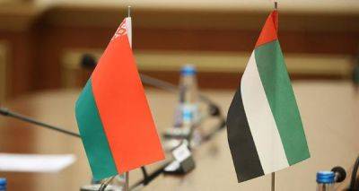 Łukaszenko przybył z roboczą wizytą do Zjednoczonych Emiratów Arabskich - belarus24.by - Белоруссия