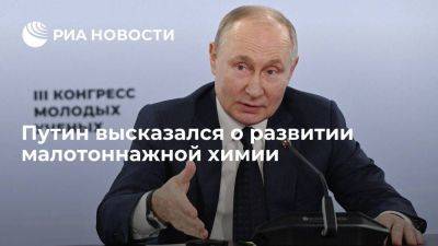 Владимир Путин - Путин назвал развитие малотоннажной химии одним из приоритетов правительства - smartmoney.one - Россия