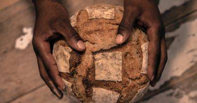 Задолго до египтян: австралийские аборигены первыми пекли хлеб еще 34 тысячи лет назад (фото) - focus.ua - Украина - Австралия