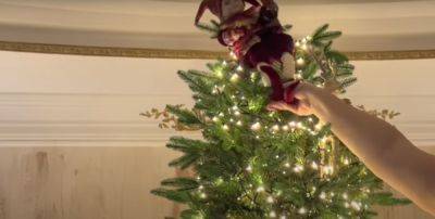 Будет благополучие в доме: названы даты, когда можно ставить новогоднюю елку в доме. Не раньше и не позже - hyser.com.ua - Украина