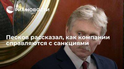 Дмитрий Песков - Песков: крупные российские компании хеджируются от санкционных рисков - smartmoney.one - Россия