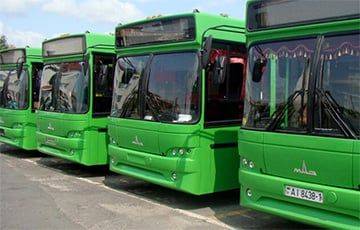 В Витебске отменили десятки рейсов пригородных автобусов - charter97.org - Белоруссия - Витебск