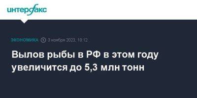 Илья Шестаков - Вылов рыбы в РФ в этом году увеличится до 5,3 млн тонн - smartmoney.one - Москва - Россия - Узбекистан