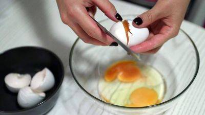 Минсельхоз предложил ввести запрет на экспорт мяса птицы и яиц с 1 декабря - smartmoney.one - Россия