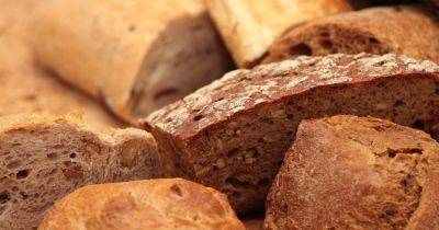 Как правильно выбирать хлеб: советы диетолога - dsnews.ua - Украина