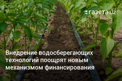 Шавкат Мирзиеев - Внедрение водосберегающих технологий поощрят новым механизмом финансирования — президент - gazeta.uz - Китай - Узбекистан - Турция - Испания