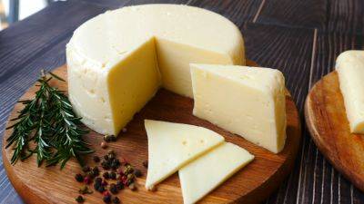 Без плесени и обветривания: как правильно хранить твердый сыр, чтобы он как можно дольше не терял свои качества - hyser.com.ua - Украина