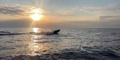 Оккупанты пытаются воссоздать украинский надводный дрон SeaBaby — СМИ - nv.ua - Россия - Украина