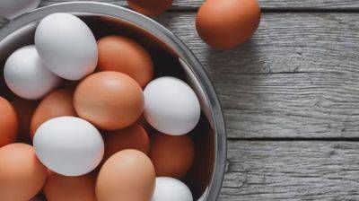 Коричневые или белые? Какие куриные яйца полезнее остальных - ukrainianwall.com - Украина