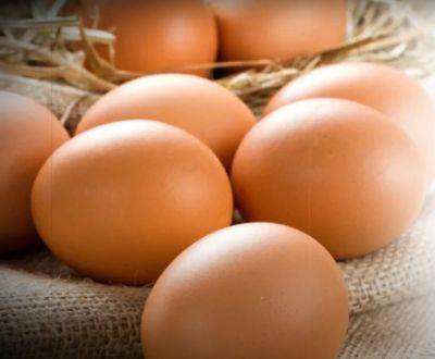 Чтобы не отравить всю семью: как правильно хранить вареные яйца в холодильнике, чтобы они не испортились - hyser.com.ua - Украина