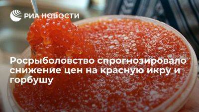 Илья Шестаков - Глава Росрыболовства Шестаков: цены на красную икру и горбушу скоро снизятся - smartmoney.one - Россия