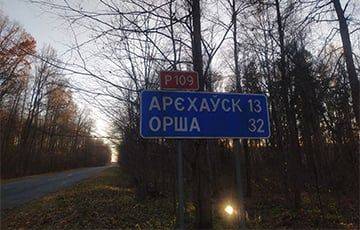 Дорожный знак под Оршей много лет показывает путь в «альтернативную реальность» - charter97.org - Белоруссия - Орша
