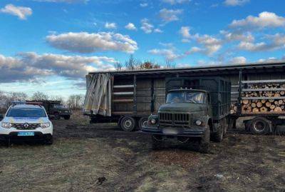 На Днепропетровщине нанесли ущерб окружающей среде: полиция показала кадры варварства - dnepr.politeka.net - Украина - Днепропетровская обл. - Днепр