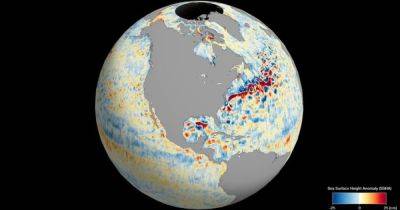Аппарат NASA нанес на карту почти всю воду на Земле: показаны уровни глобального океана (видео) - focus.ua - США - Украина - Япония