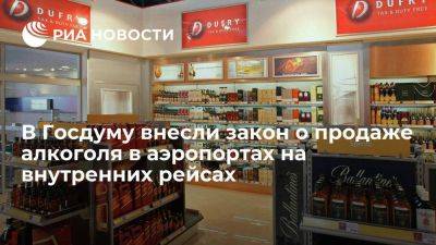 В ГД внесли законопроект о продаже алкоголя в аэропортах на рейсах по России - smartmoney.one - Россия