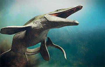Новый вид мозазавра обнаружили американские ученые - charter97.org - США - Белоруссия