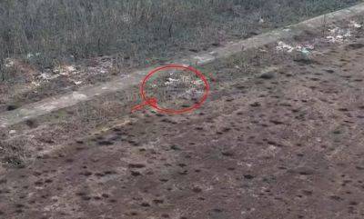 На Бахмутський - Сили оборони знищили позицію окупантів біля Бахмута - real-vin.com - Украина
