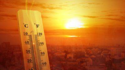 Ученые прогнозируют, что этот год станет самым жарким на Земле за всю историю наблюдений - ru.slovoidilo.ua - Украина - Киев