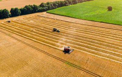 Всемирный банк предоставит $700 млн аграриям Украины - korrespondent.net - Россия - Украина