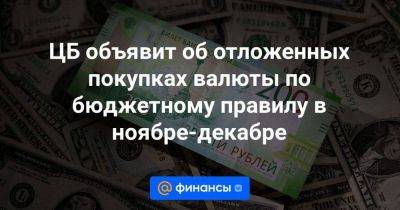 Эльвира Набиуллина - ЦБ объявит об отложенных покупках валюты по бюджетному правилу в ноябре-декабре - smartmoney.one - Россия