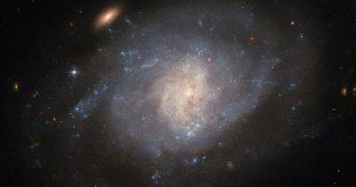 Обломки разбросало по всей галактике: телескоп Хаббл заснял результат космического взрыва (фото) - focus.ua - Украина