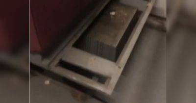Полиция разыскала подростков, которые «на камеру» разгромили вагон электрички под Киевом (видео) - fakty.ua - Украина - Киев - Борисполь - район Бориспольский