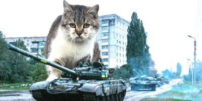 Псу Патрону стоит волноваться? Украинцы сделали кота Сырского новой звездой соцсетей — обзор - nv.ua - Россия - Украина