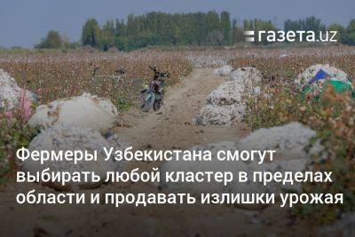 Шерзод Асадов - Фермеры Узбекистана смогут выбирать любой кластер в пределах области и продавать излишки урожая — президент - gazeta.uz - Узбекистан