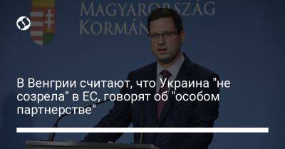 В Венгрии считают, что Украина "не созрела" в ЕС, говорят об "особом партнерстве" - liga.net - Россия - Украина - Венгрия - Ес
