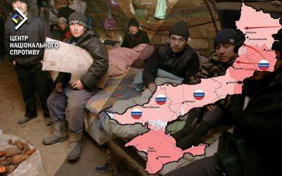 Количество мигрантов из Азии на оккупированных территориях Украины превысило 100 тысяч, - ЦНС - vchaspik.ua - Украина - Мариуполь
