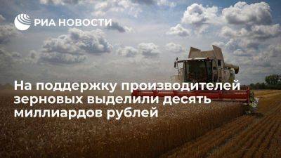 Правительство выделило 10 млрд руб на поддержку производителей зерновых культур - smartmoney.one - Россия