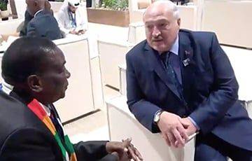Над Лукашенко смеется даже президент Зимбабве - charter97.org - Белоруссия - Эмираты - Зимбабве