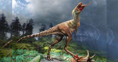 Последняя трапеза. В желудке тираннозавра впервые нашли еду — 75 млн лет назад он съел 4 ножки - focus.ua - Украина