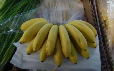 Не все об этом знают: как выбрать спелые и вкусные бананы без ГМО - hyser.com.ua - Украина