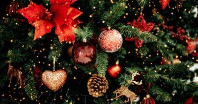 Девушка заработала тысячи долларов за день, украшая рождественские елки топлес (фото, видео) - focus.ua - Украина - шт.Флорида