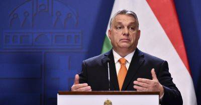 Дональд Трамп - Виктор Орбан - Союзники Орбана будут продвигать в США прекращение помощи Украине, — The Guardian - focus.ua - США - Украина - Киев - Вашингтон - Англия - Венгрия