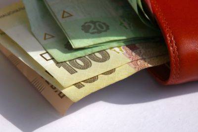 Полные карманы денег от соцвыплат: какая помощь увеличится в 2024 году - ukrainianwall.com - Украина