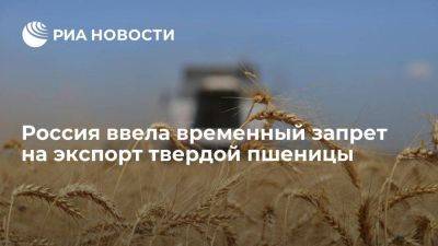 Правительство России ввело временный запрет на экспорт твердой пшеницы до 31 мая - smartmoney.one - Россия - Армения - Казахстан - Белоруссия - Киргизия