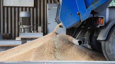 В отрасли исключили дефицит твердой пшеницы после запрета на экспорт - smartmoney.one - Россия - Италия - Турция