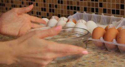 Как проверить яйца на свежесть: поможет один простой лайфхак - politeka.net - Украина